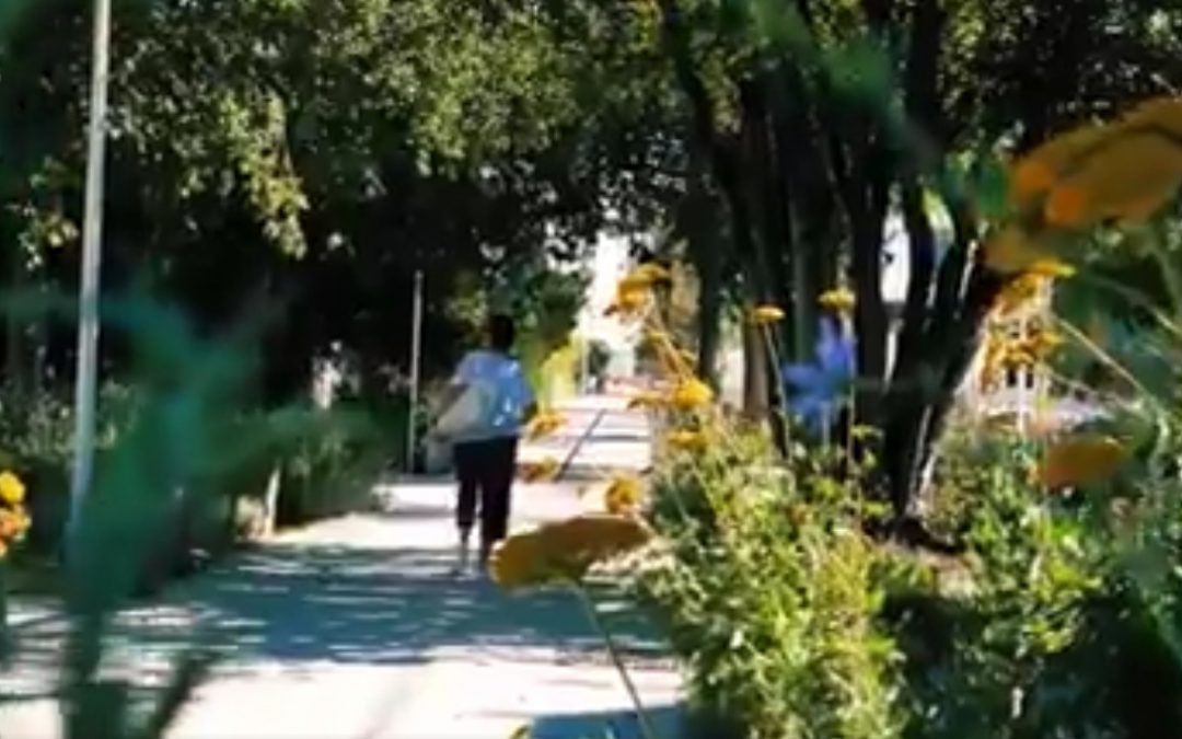 Toulon’s  La Loubière goes green