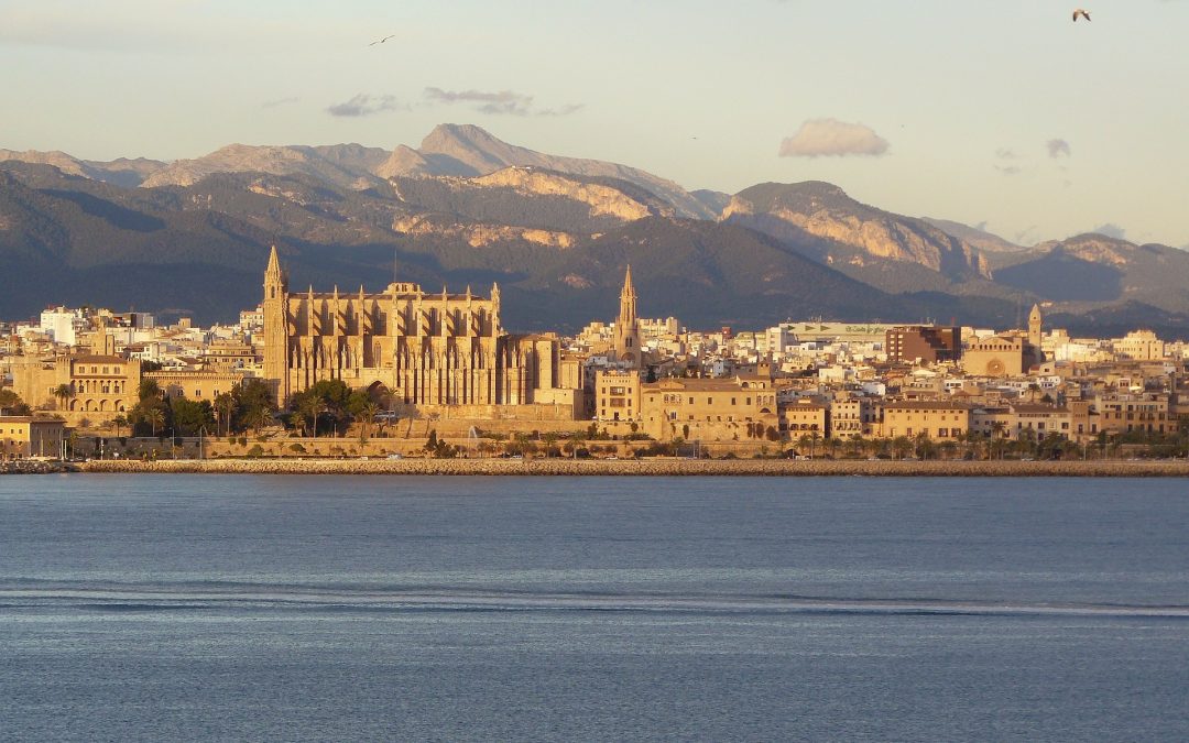 Palma City Council invests 59 million euros for maintenance of green areas and trees for the next four years