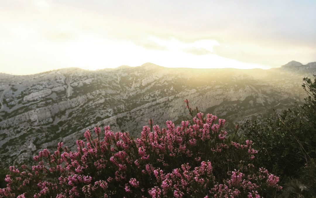 City of Marseille is committed to the climate