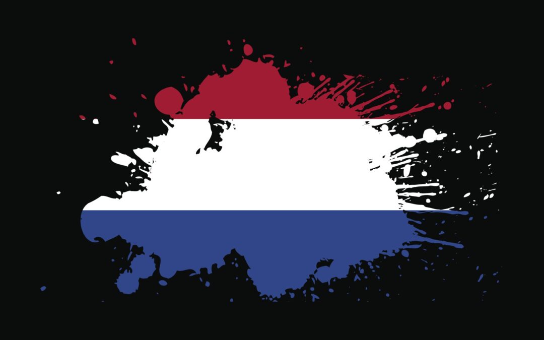 Top digital performer: the Netherlands