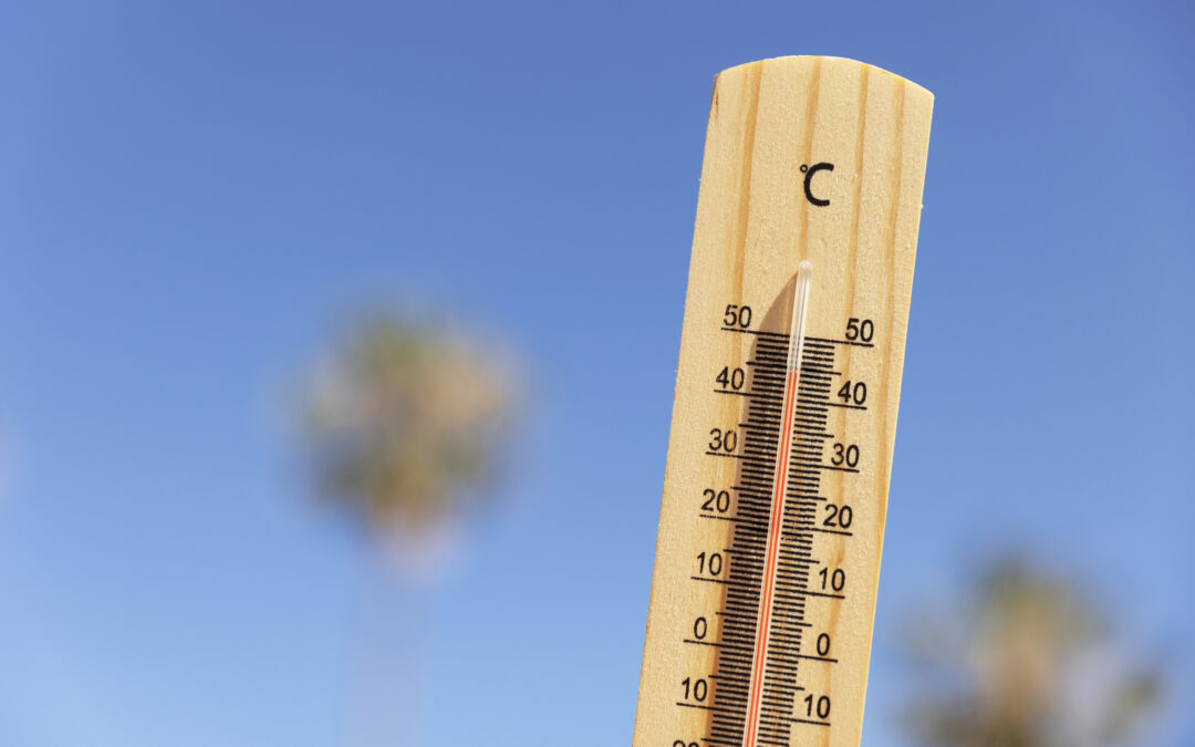 How Athens is dealing with a new heat wave