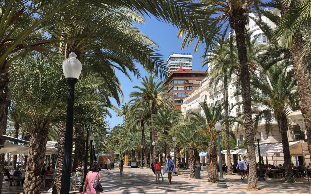 Alicante calls on citizens, NGOs, scientists and businesses to join its Citizen Laboratory