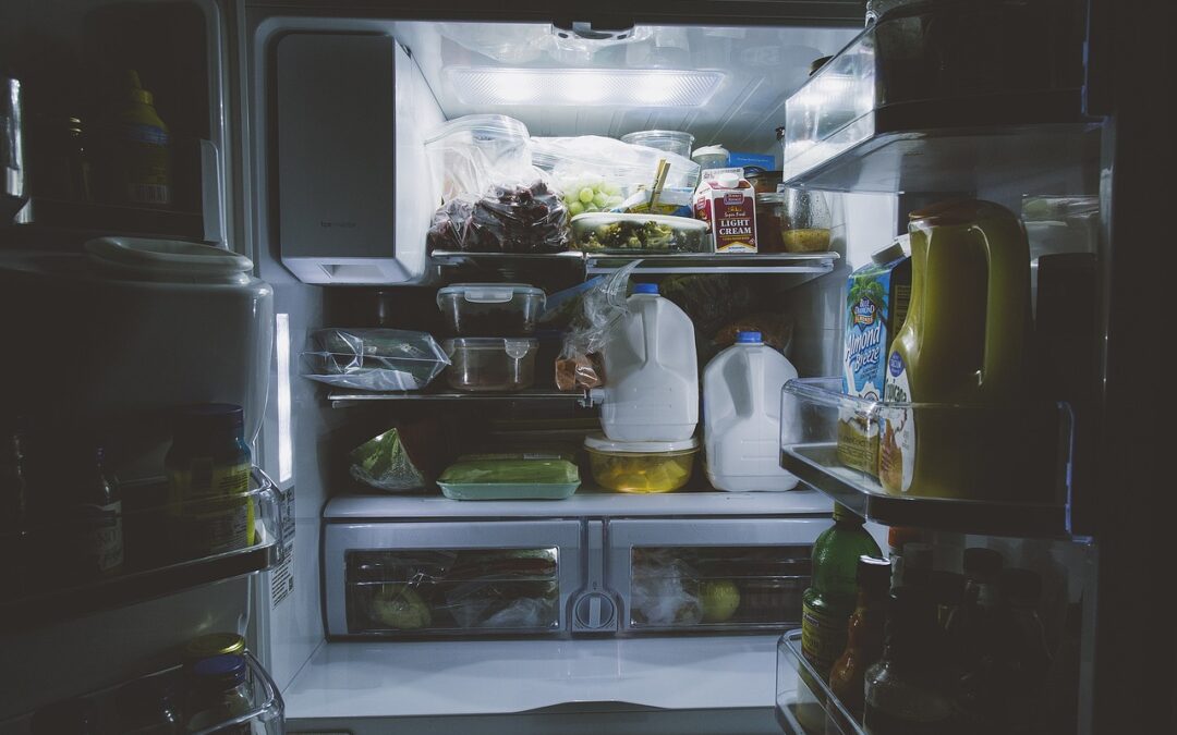 Hanover subsidises energy-efficient appliances for low-income households