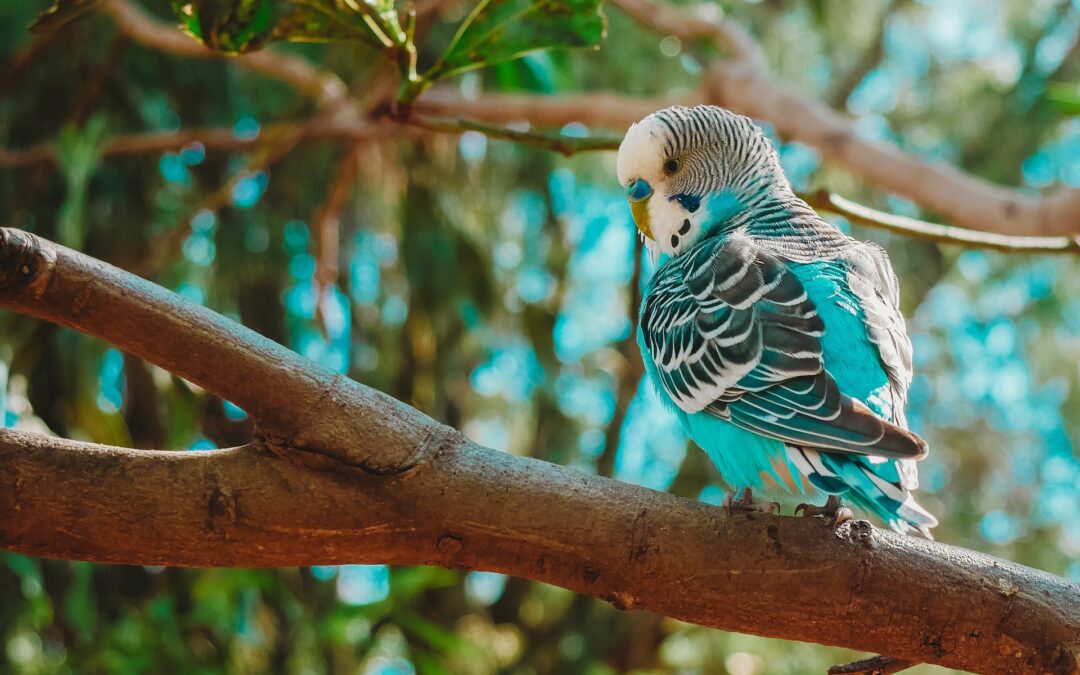 Genoa taps help from citizen scientists to track biodiversity and preserve new species