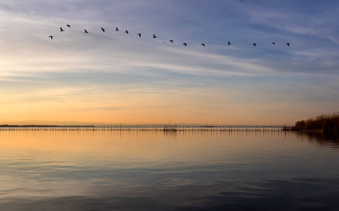 Valencia receives Ramsar Wetland City Accreditation for protecting Albufera lagoon