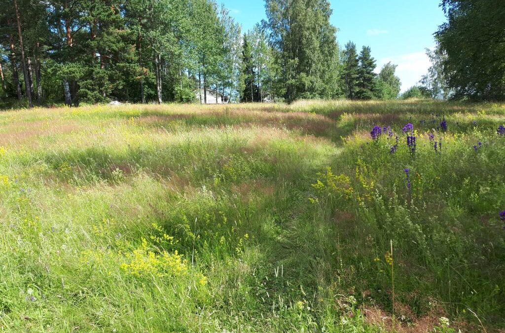 Helsinki nature conservation programme prepares to esablish nature reserve