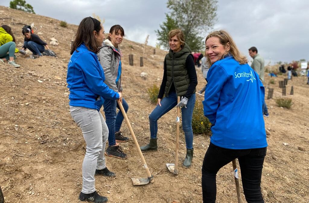 Madrid starts planting more than 1,500 trees with help from companies and residents