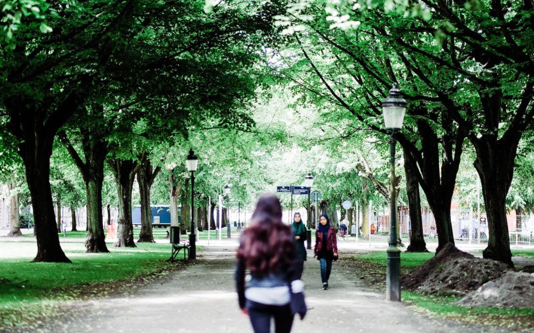 Malmö receives CDP recognition for its environmental protection efforts