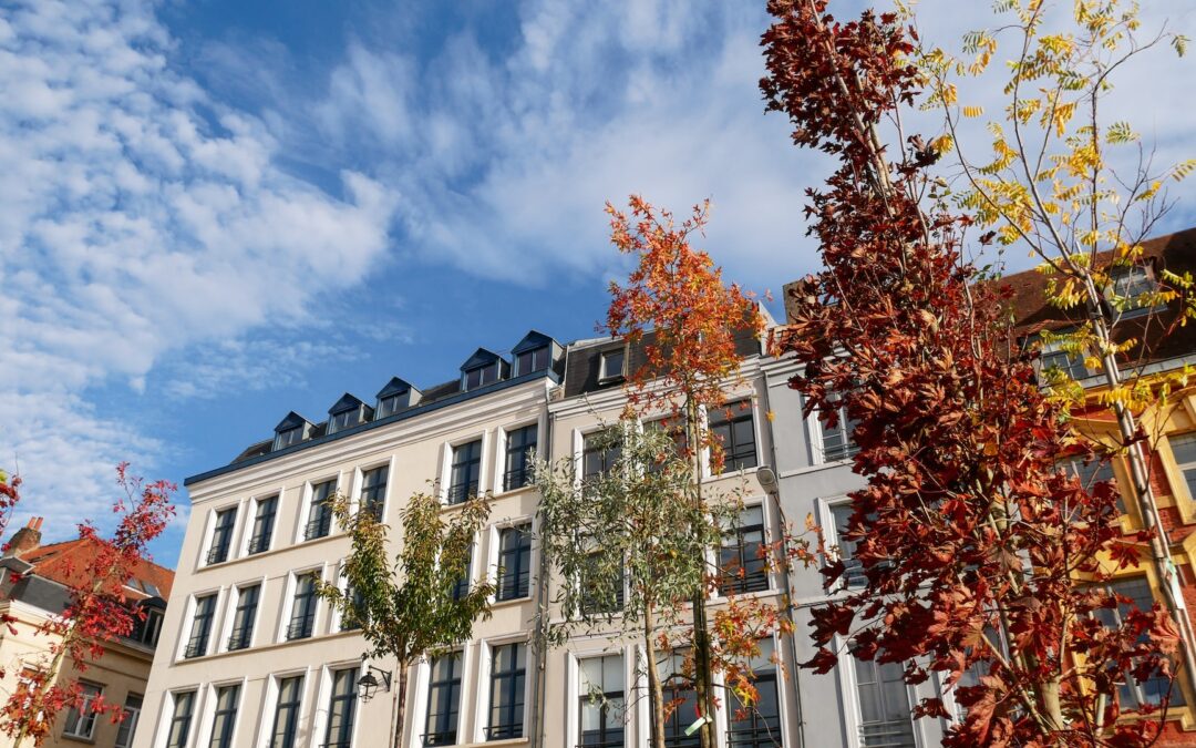Lille implements environmental projects as part of green push