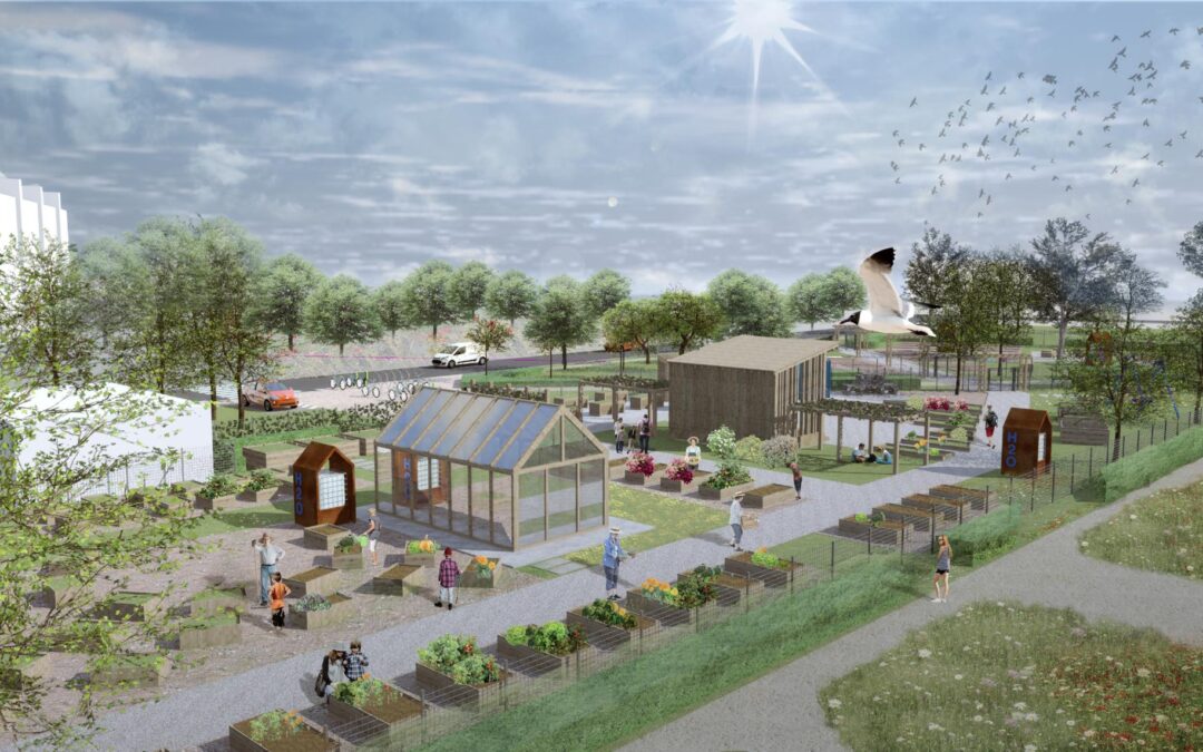 Tallinn invites residents to join a green revolution with community garden project