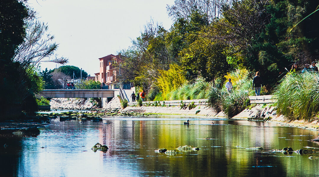 How Marseille is fighting urbanisation and saving water