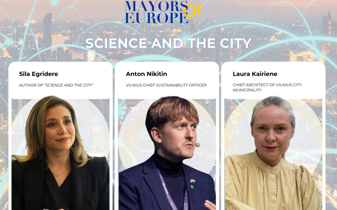 From Index to Insights: Uncovering Vilnius’ Urban Transformation