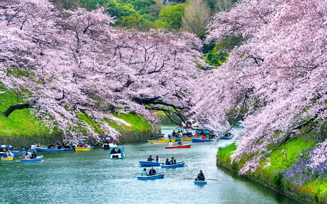 Cities Are Getting Smarter. Citizens Are Getting Older. The Evolution of Urban Development in Japan – Takehiko Nagumo, Smart City Institute Japan
